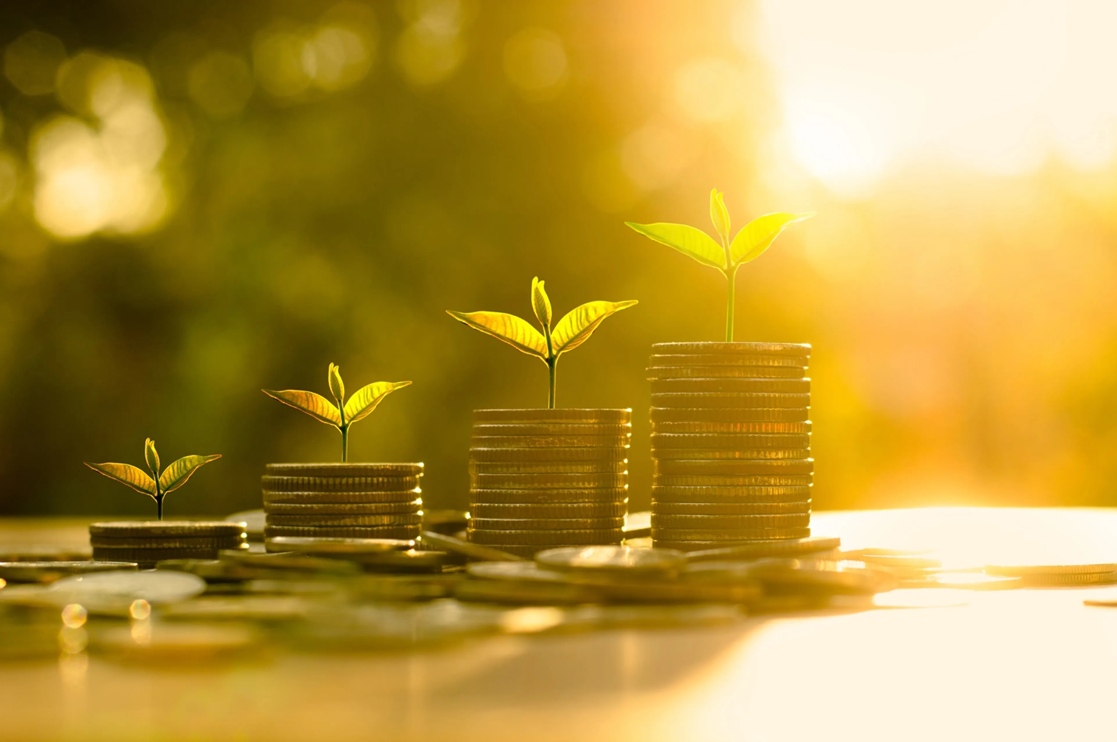 Капитал - Аграрии готовятся к посевной кампании