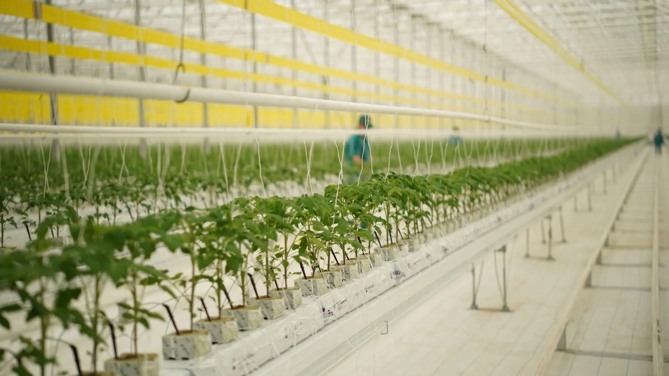 Изображение Kapital.kz