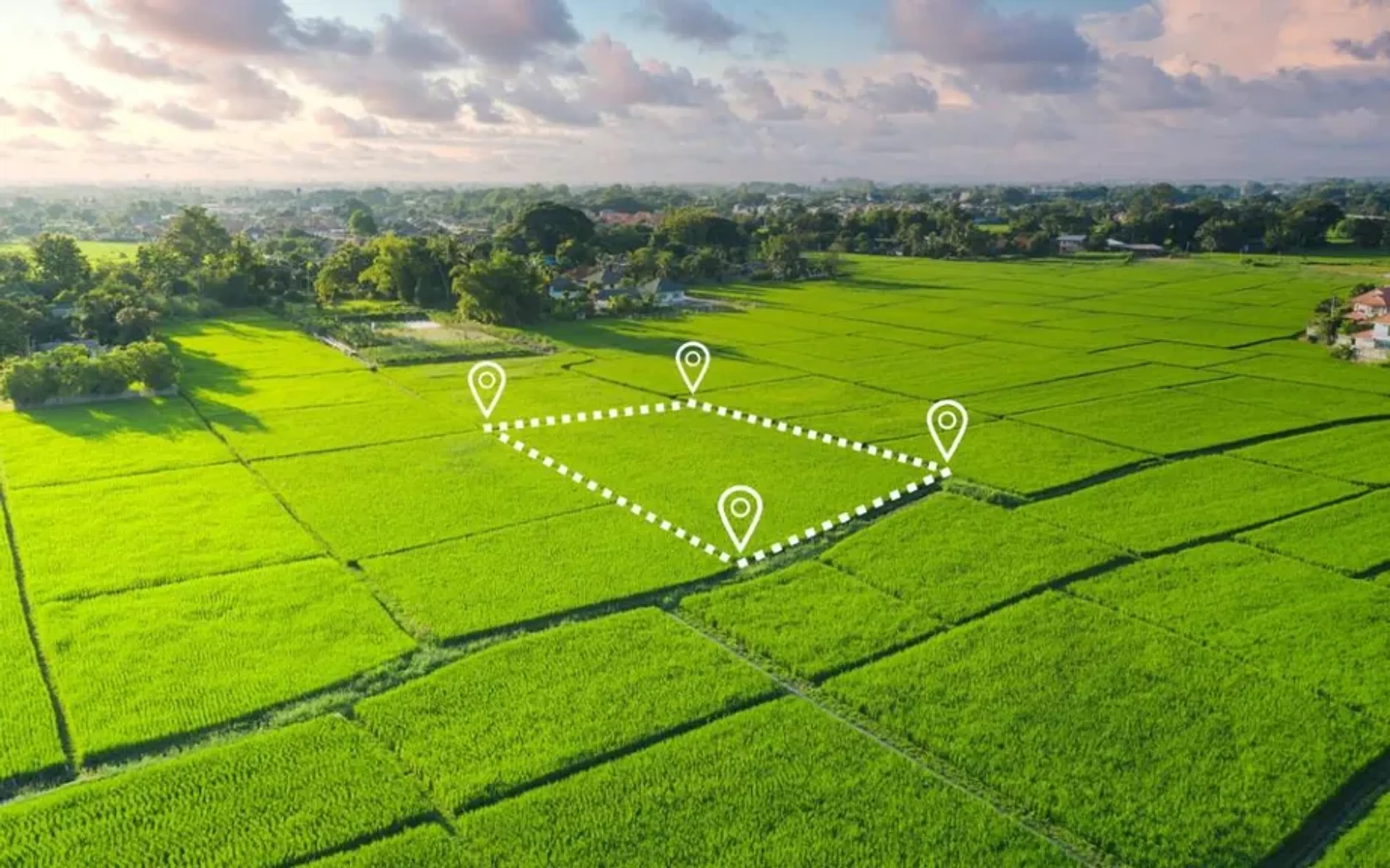 Фото: Комитет по управлению земельными ресурсами
 