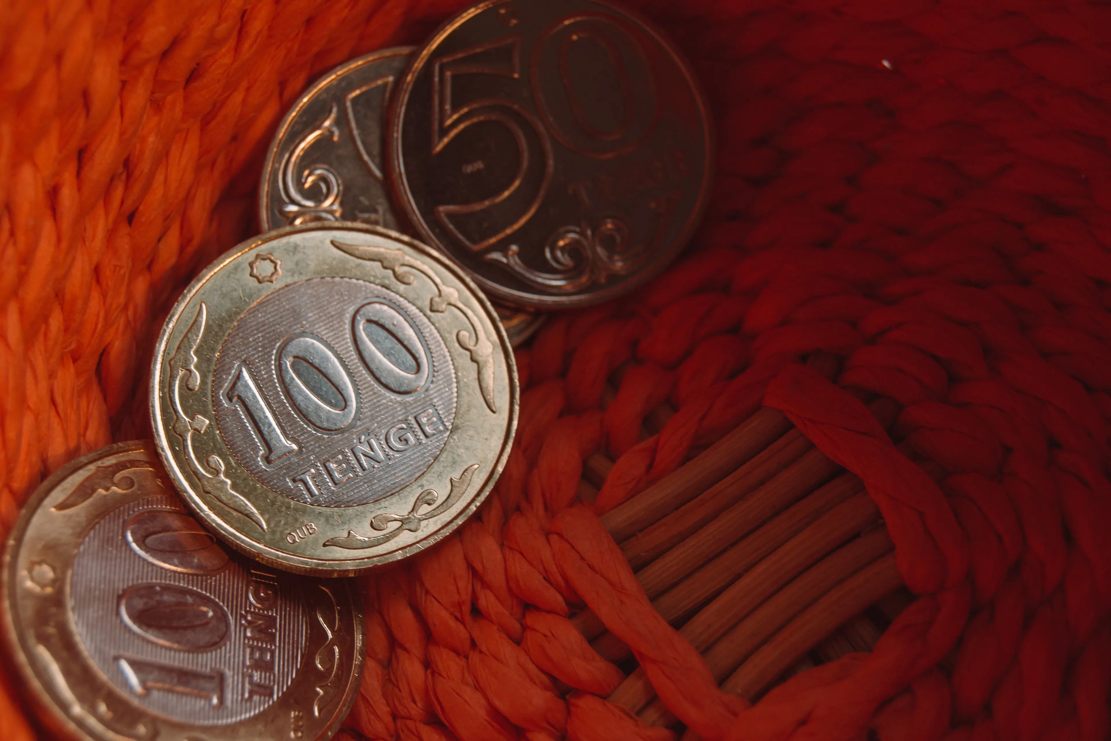 Фото: Валерия Змейкова