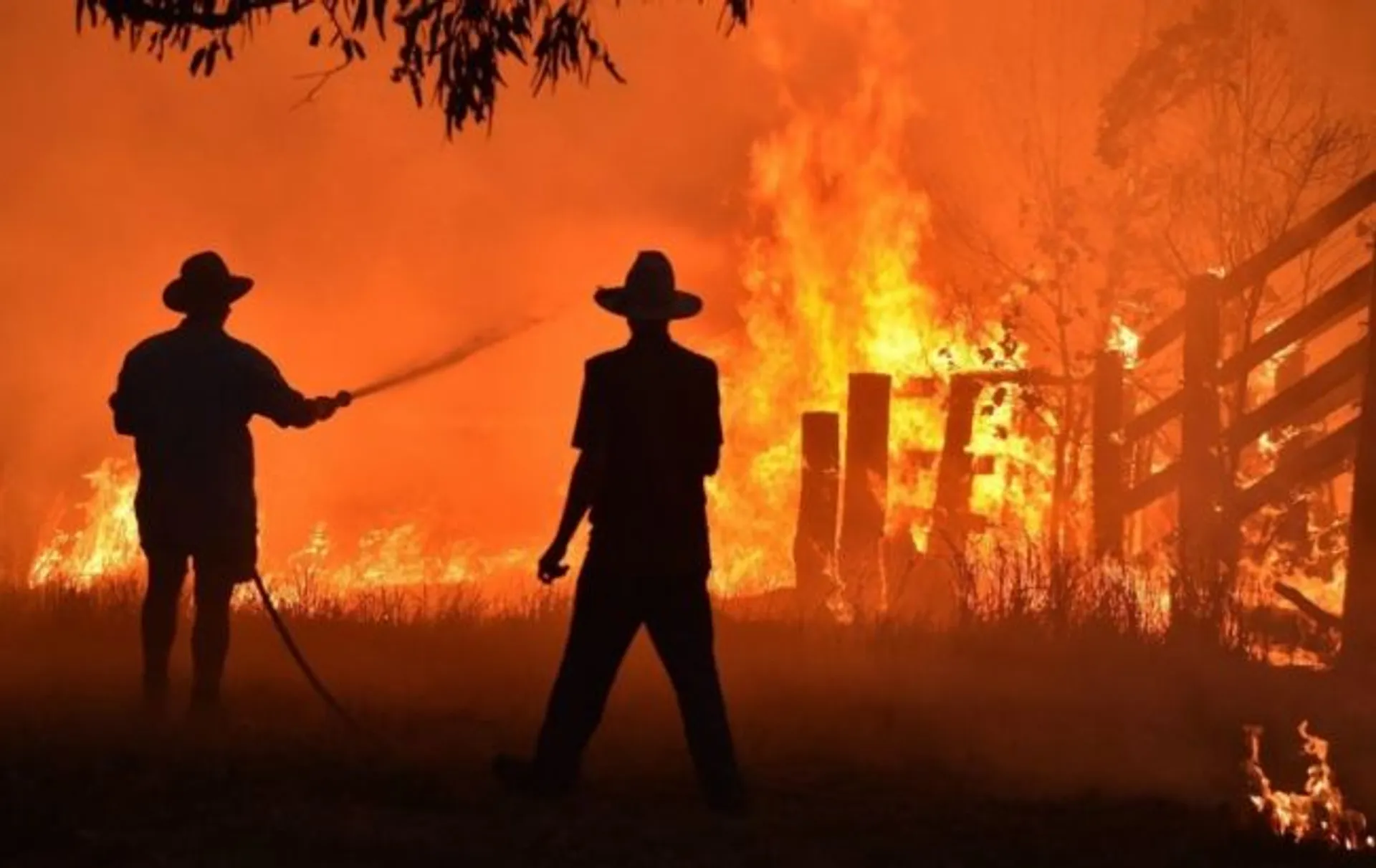 Капитал - Правительство Австралии выделит $35 млн на восстановление природы