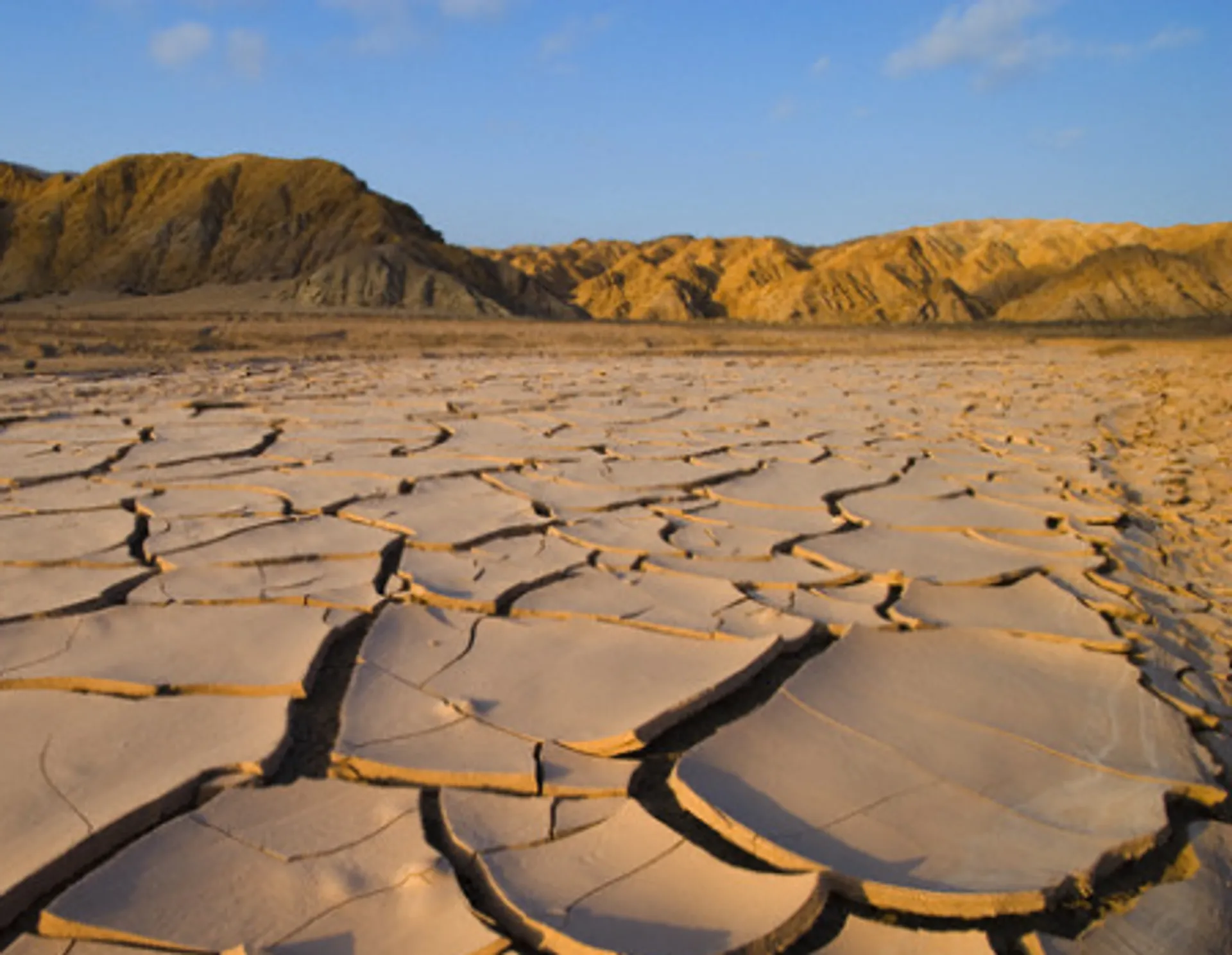 Капитал - 1,8 млрд. тенге выплатят пострадавшим от засухи
