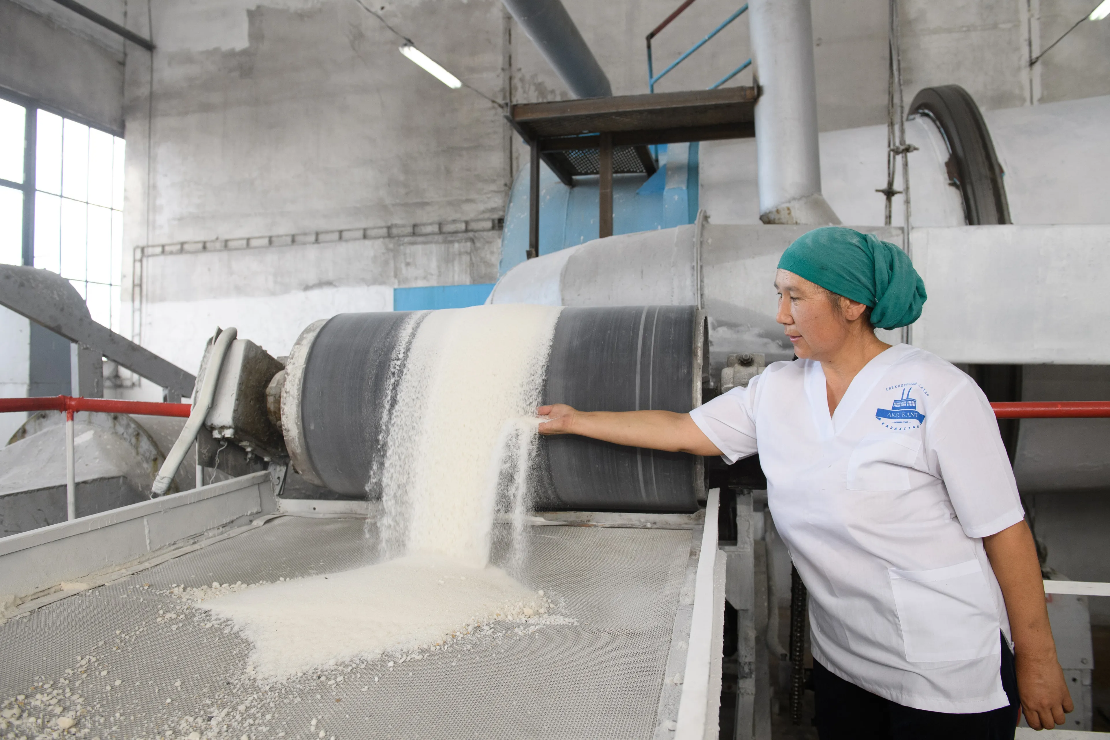 Капитал - Как Алматинская область возвращает статус свекловодческого региона