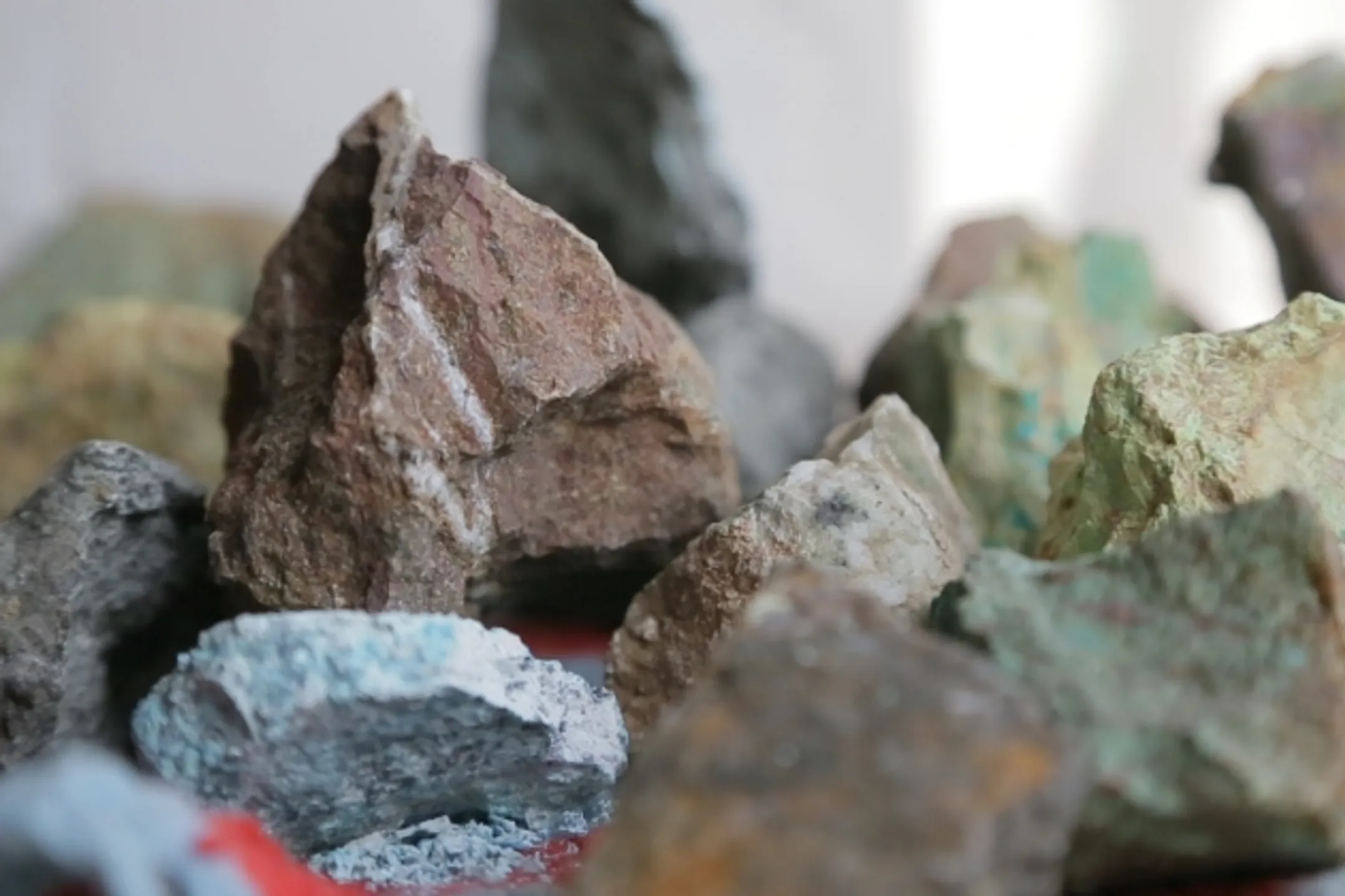 БАСТ урегулировала конфликт между акционерами - Image Kapital.kz