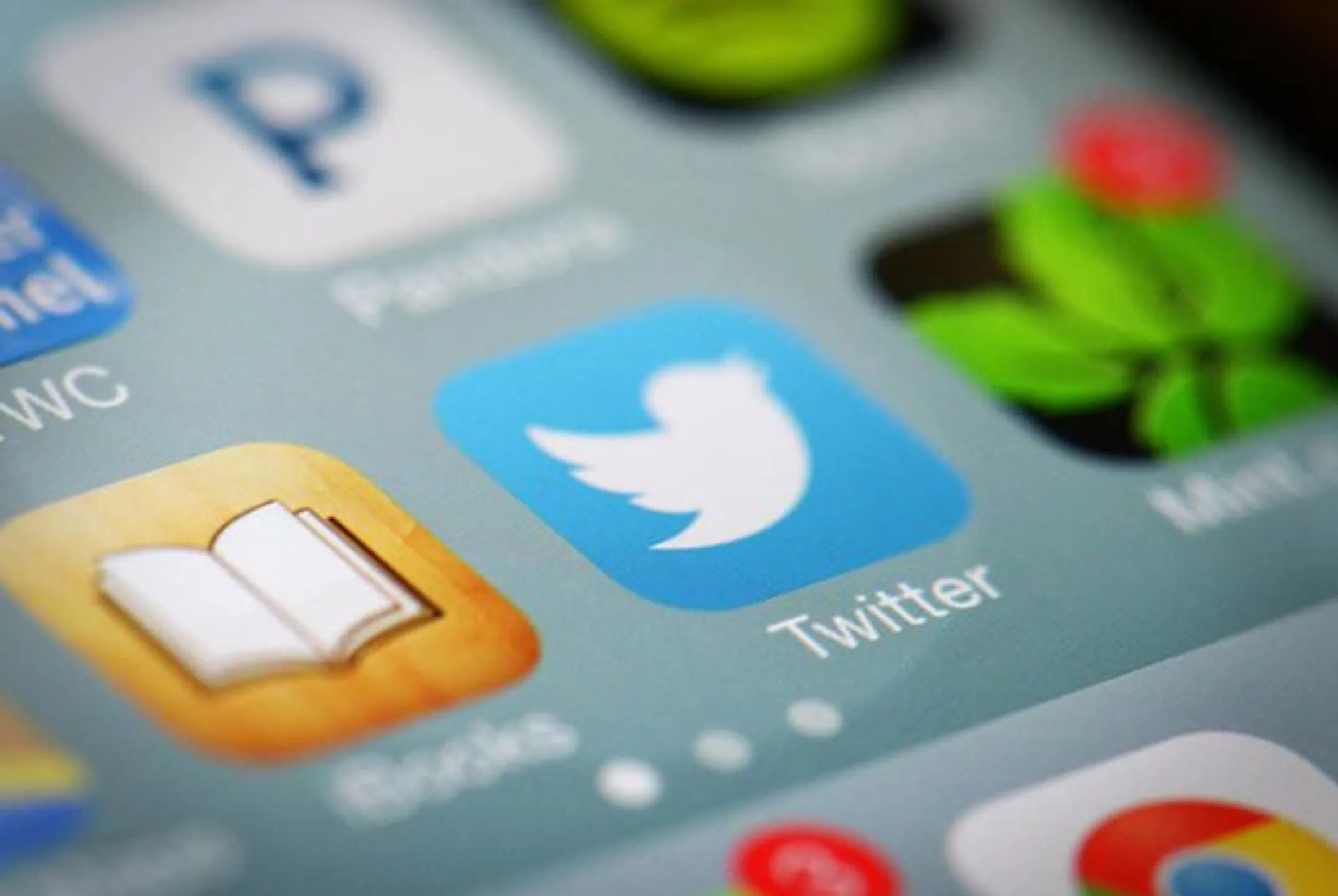 Акции Twitter рухнули после утечки данных из отчета - Image Kapital.kz