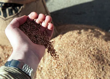 Переходный период «Казтемиртранс»