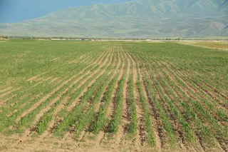 Фото: Руслан Пряников