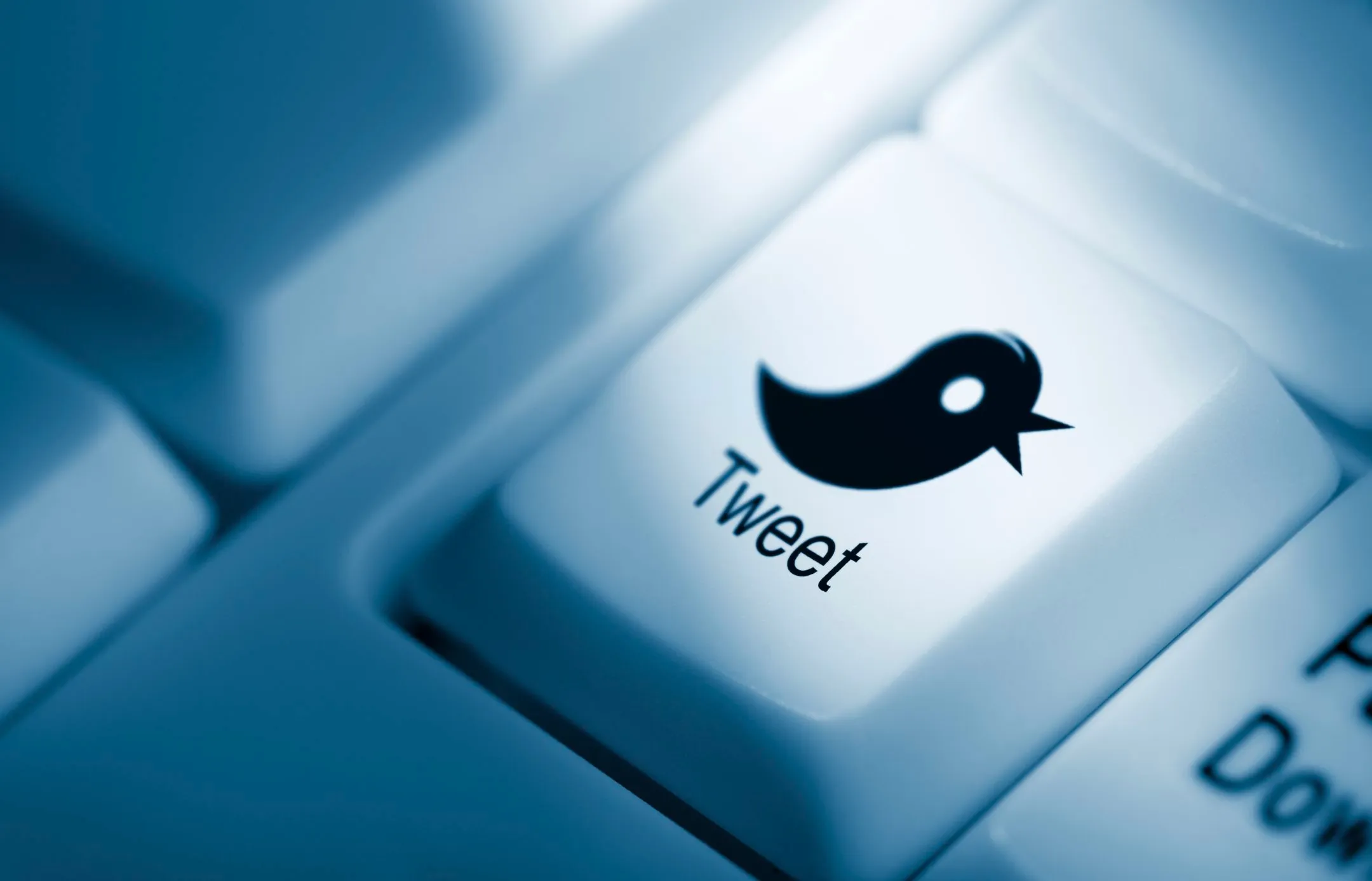 Twitter готовит новую рекламную политику - Image Kapital.kz