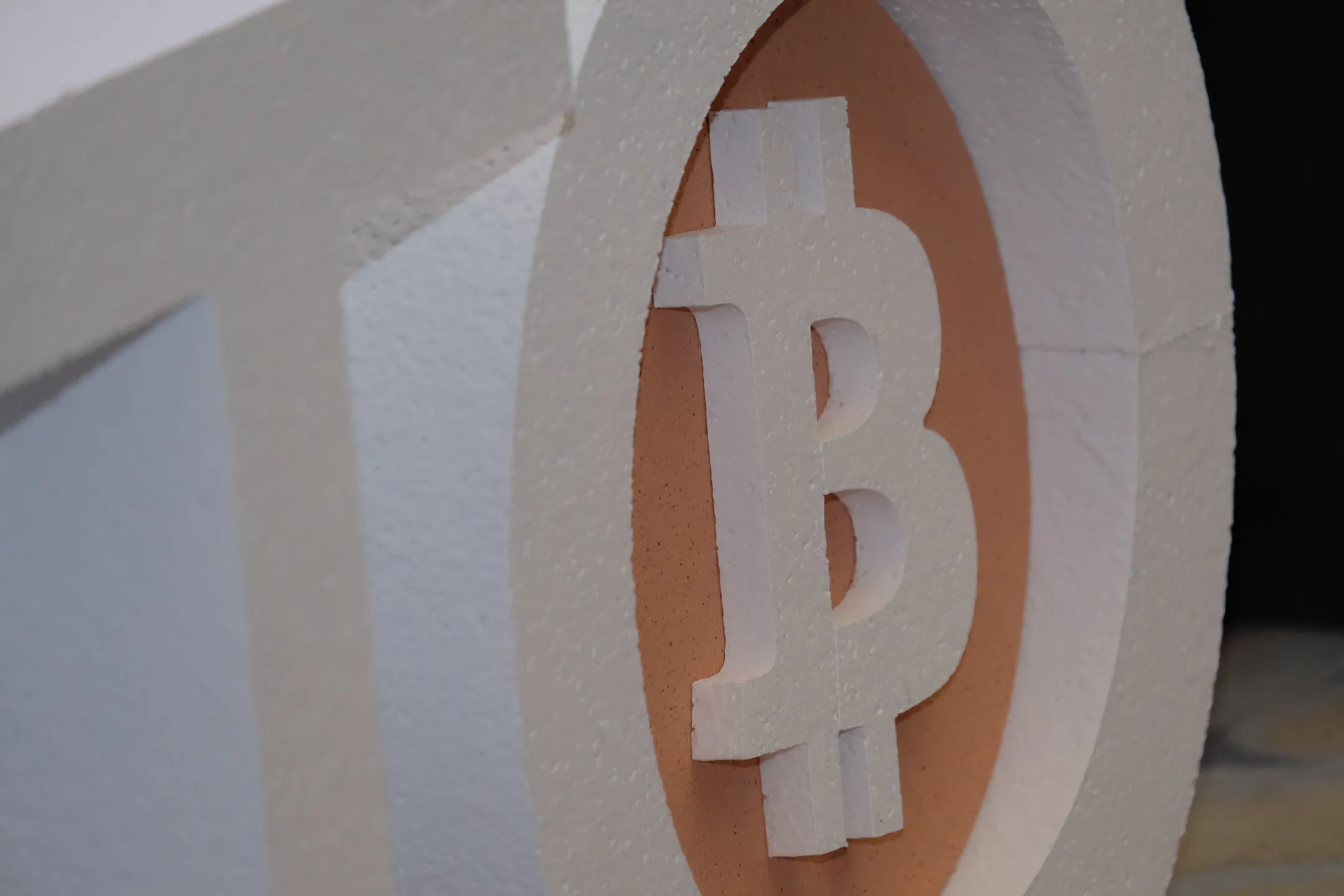 Фото: Владимир Третьяков