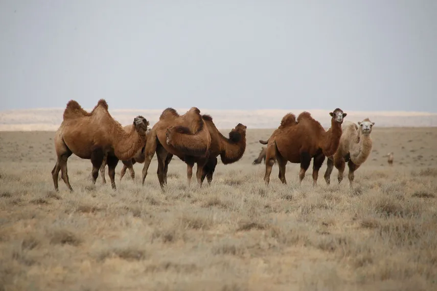 Фото: Руслан Пряников