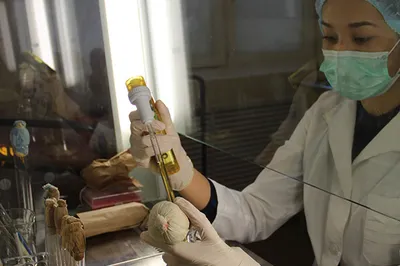 Как заработать на бактериях, сохраняющих овощи