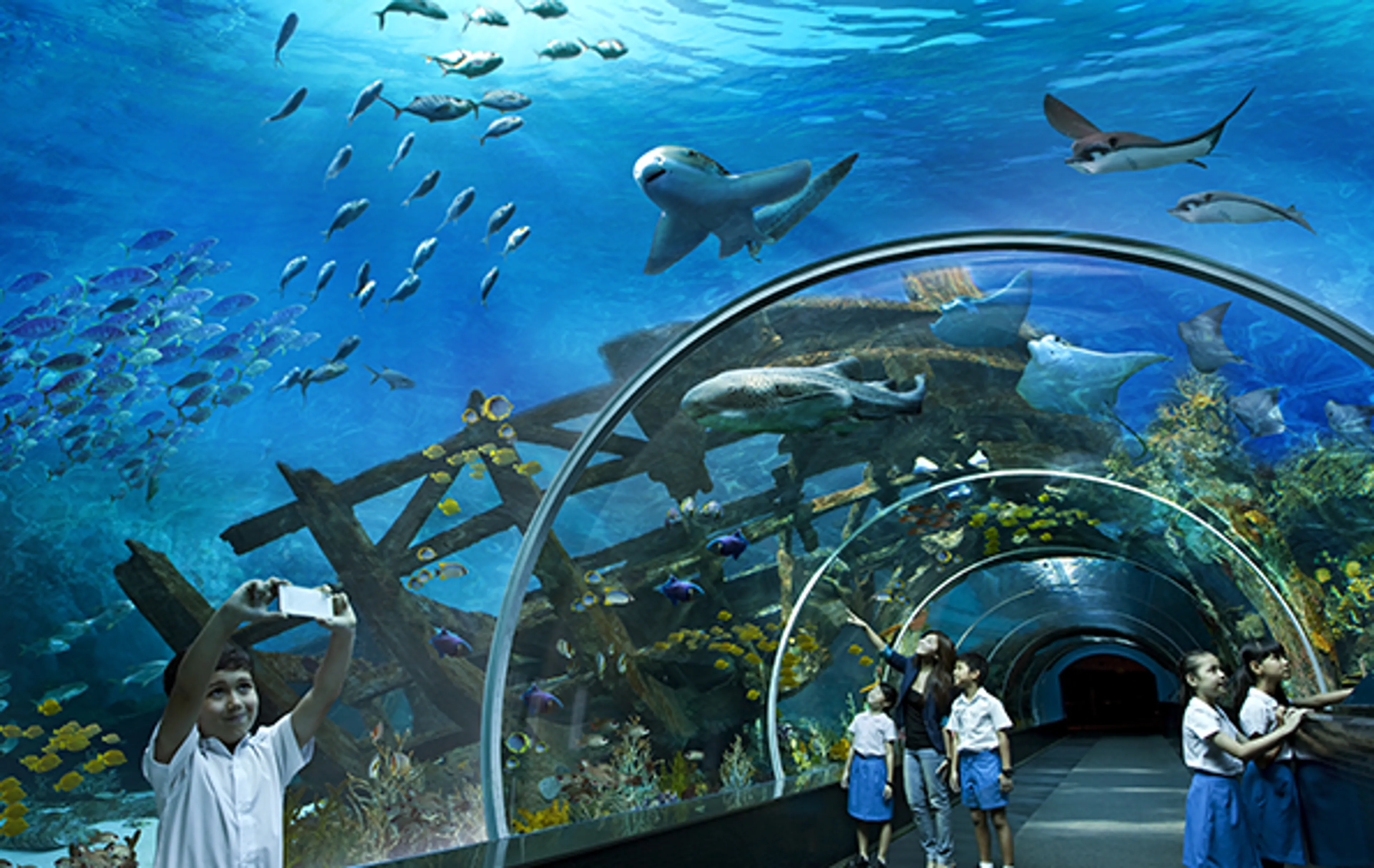 Капитал - Развлекательный центр Думан так и не был продан