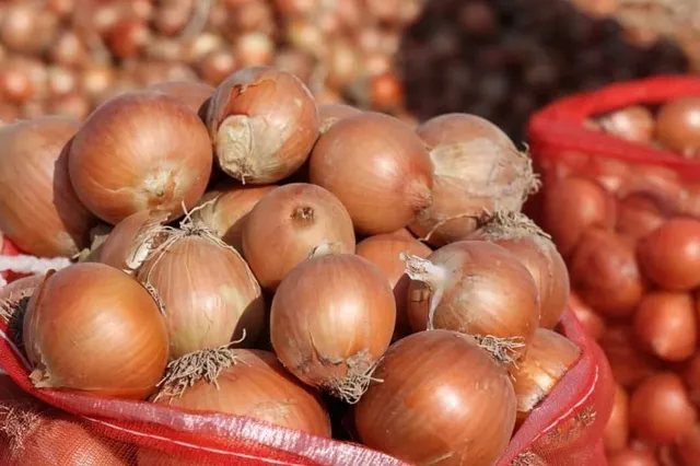 Фото: east-fruit.com