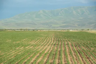 Фото: Руслан Пряников