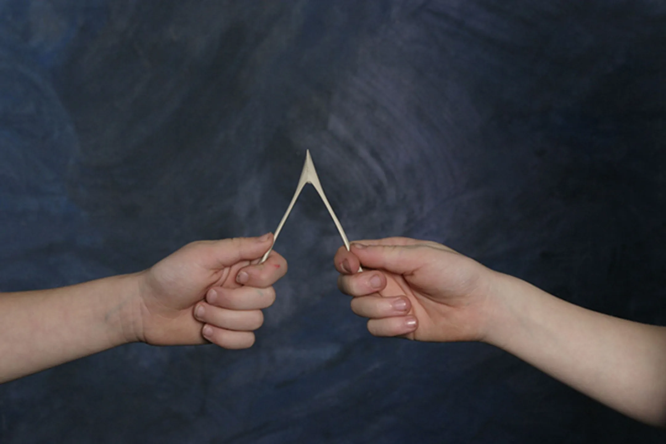 Самые необычные ниши для бизнеса - Image Kapital.kz