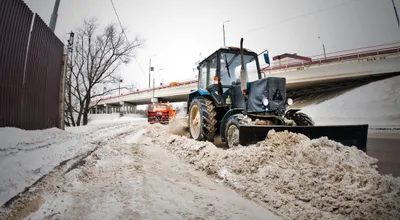 Бизнес на дурацкой идее