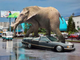 Капитал - Цирковое шествие на Абая