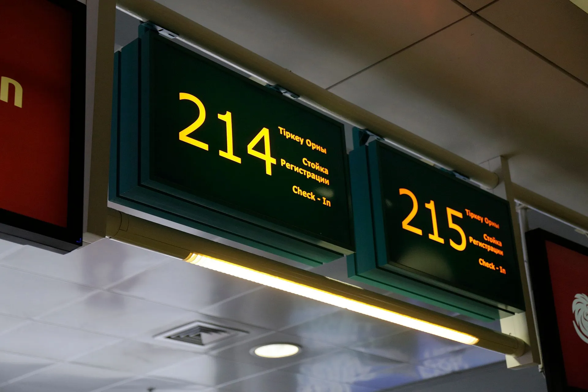 Фото: Руслан Пряников