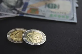 Фото: Валерия Змейкова