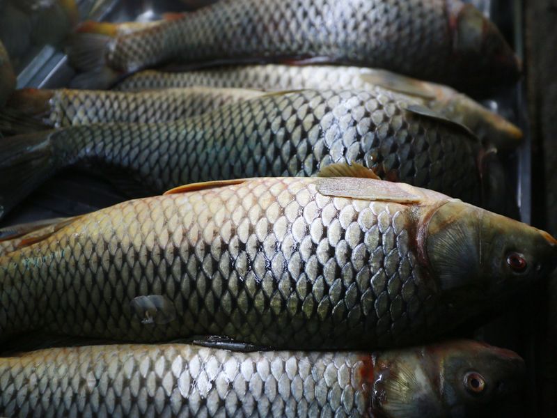 Импортозамещение в Казахстане 111047