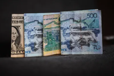 Под натиском доллара нацвалюта за неделю потеряла 9 тенге