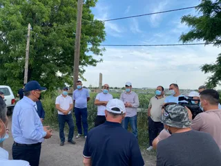 Капитал - В Туркестанской области выявлен опасный вирус томатов и перца