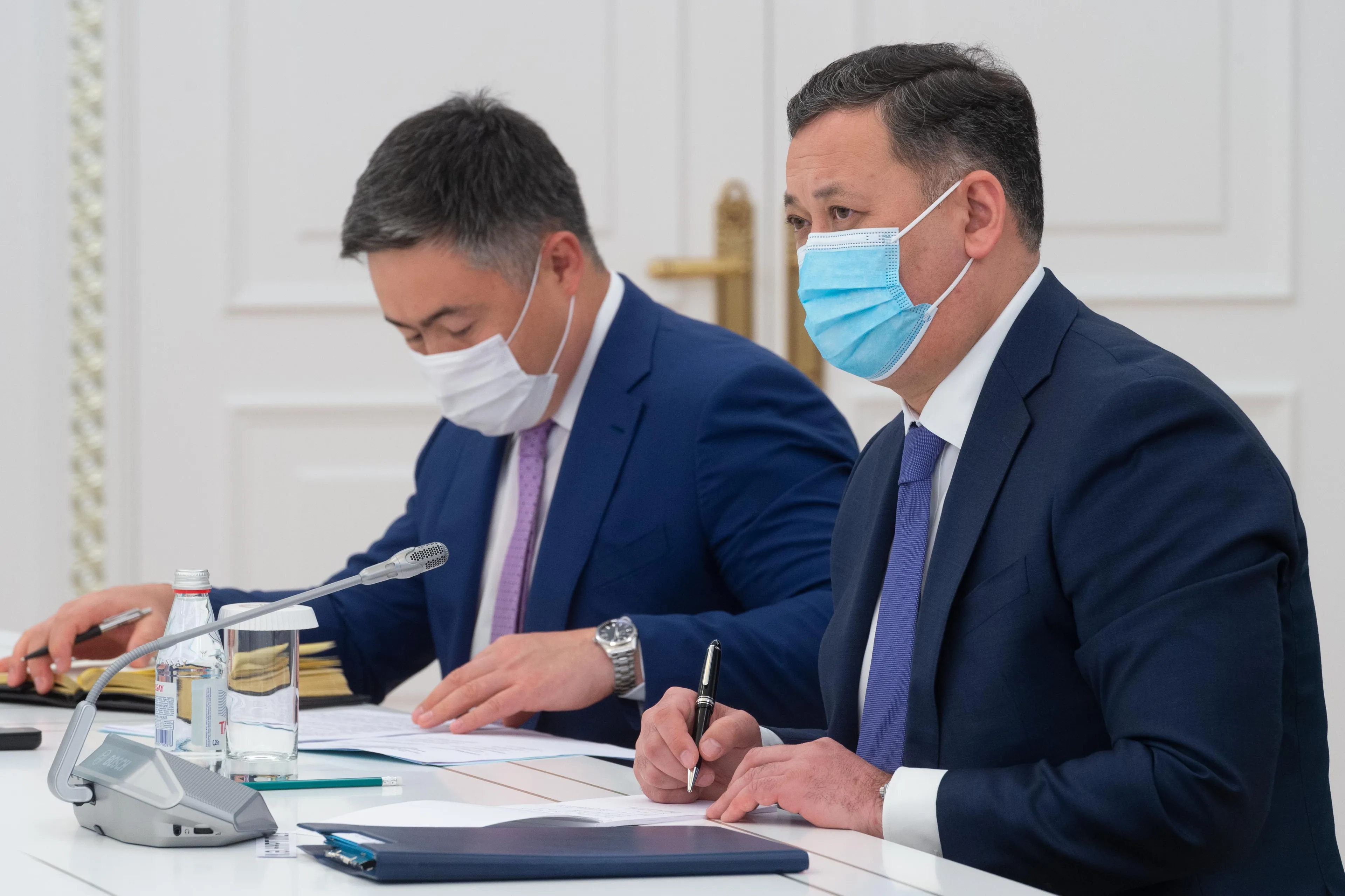 Президент провел встречу с гендиректором ВОЗ - фото kapital.kz