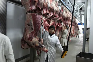 Капитал - Казахстан уже отправил 20 тонн мяса в Москву