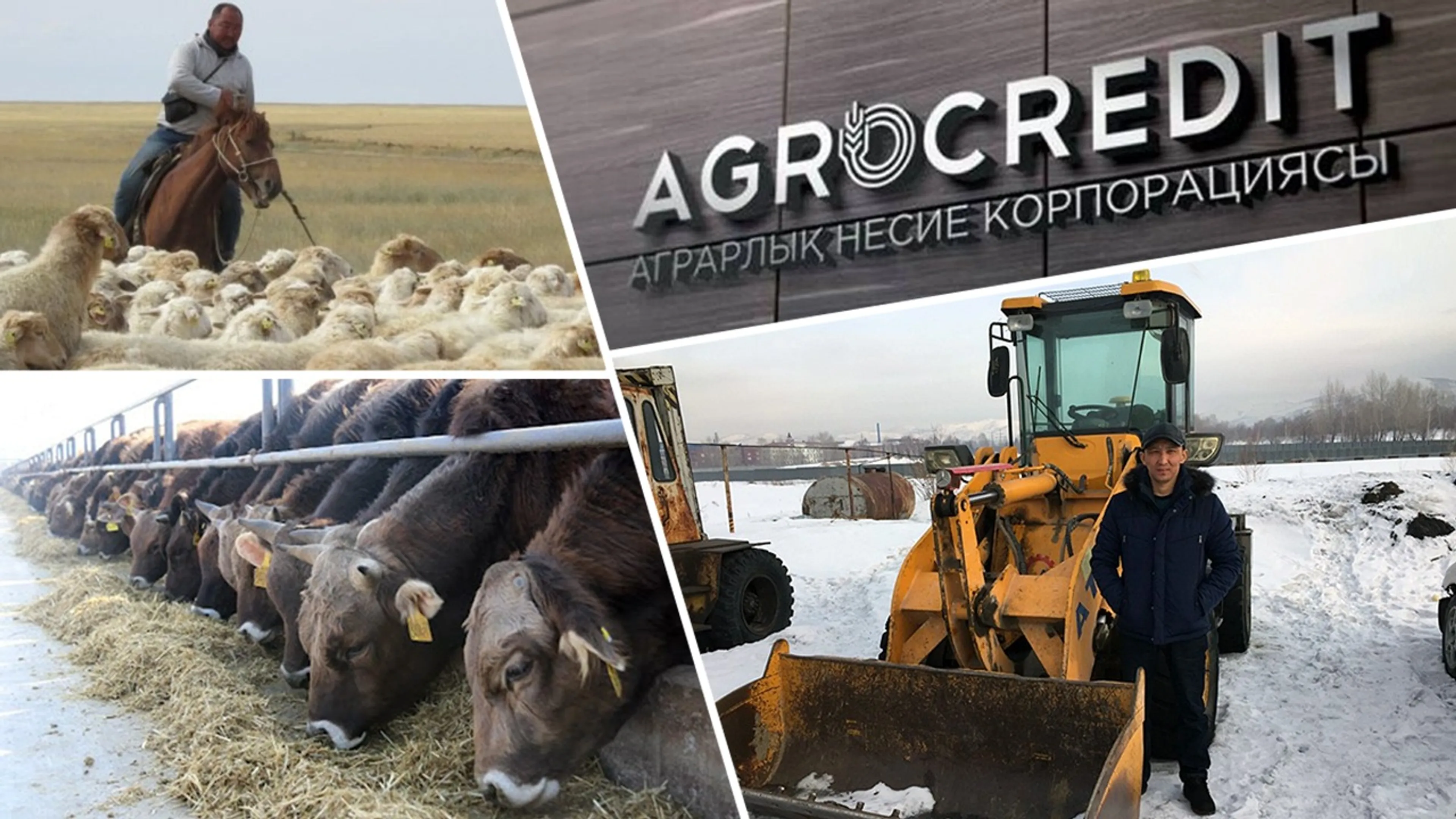 Капитал - Программа льготного кредитования помогает создавать новые рабочие места