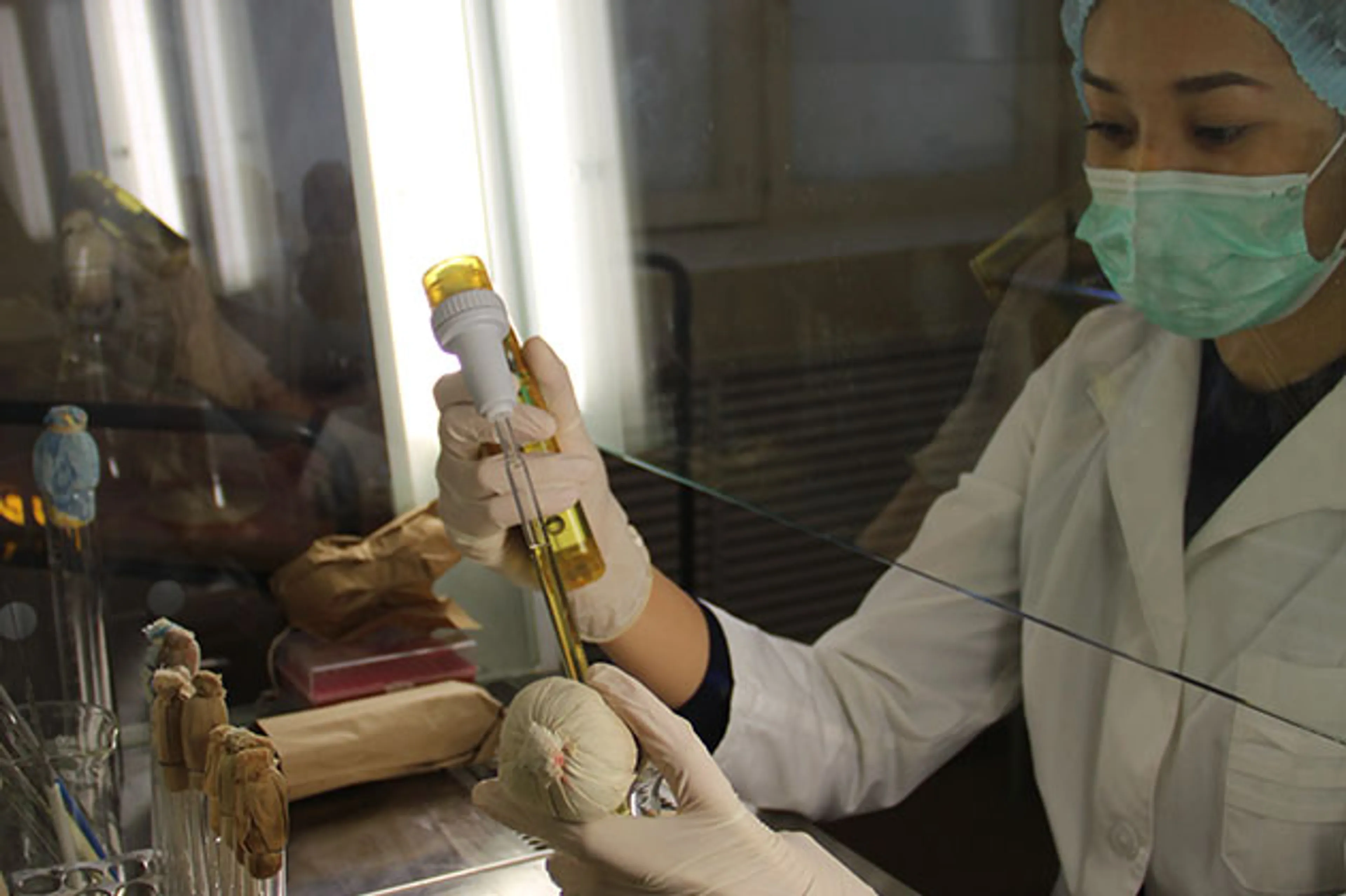 Капитал - Как заработать на бактериях, сохраняющих овощи