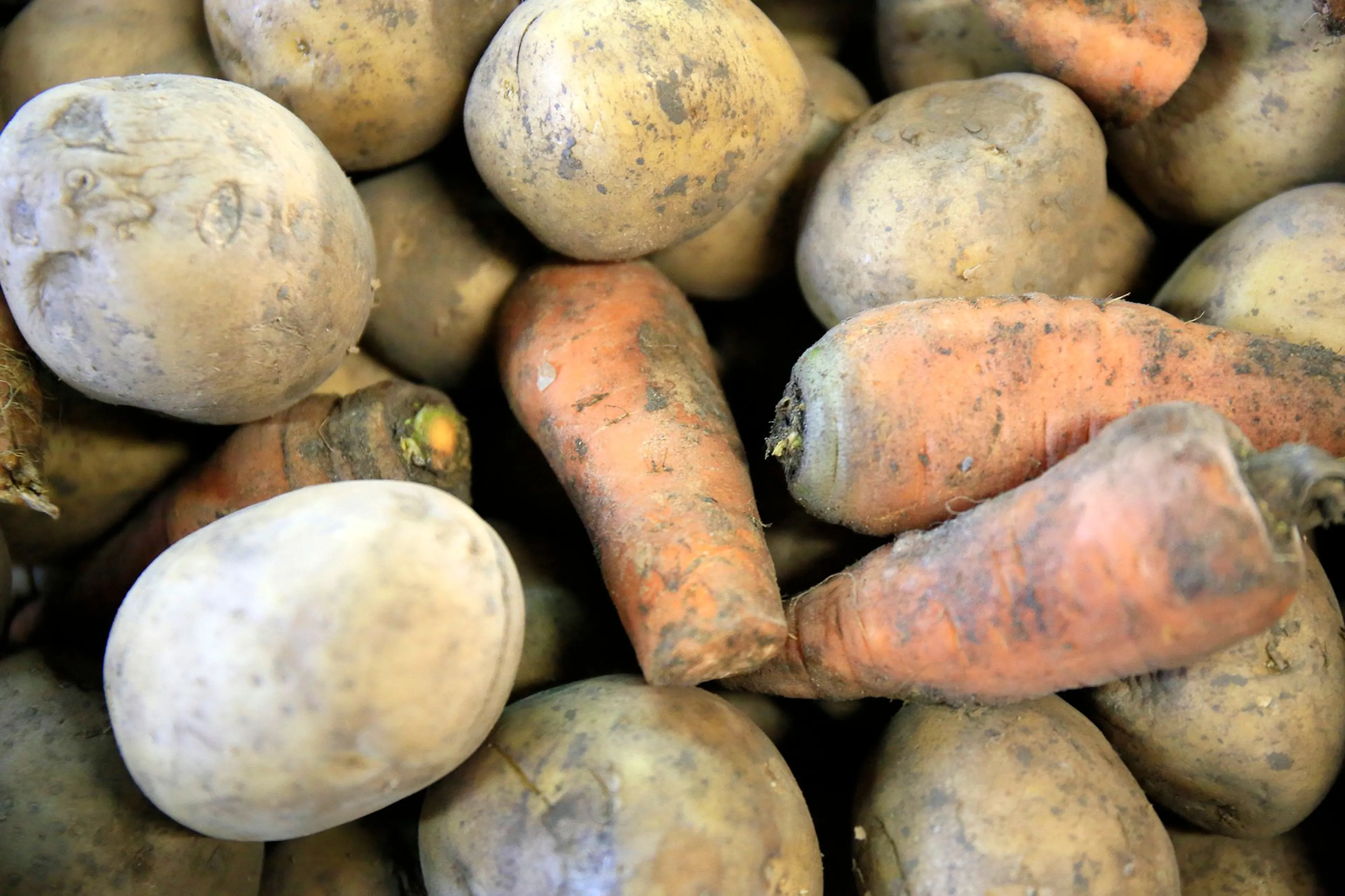 Фото: Руслан Пряников