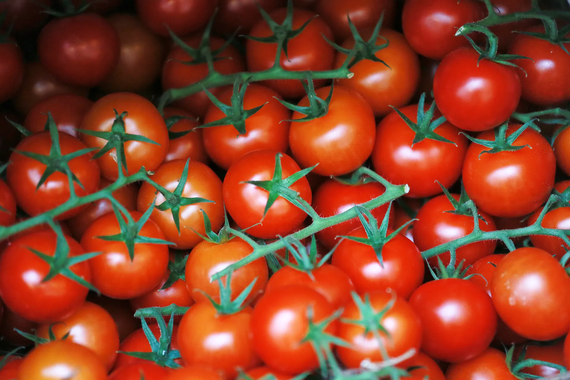 Фото: Руслан Пряников