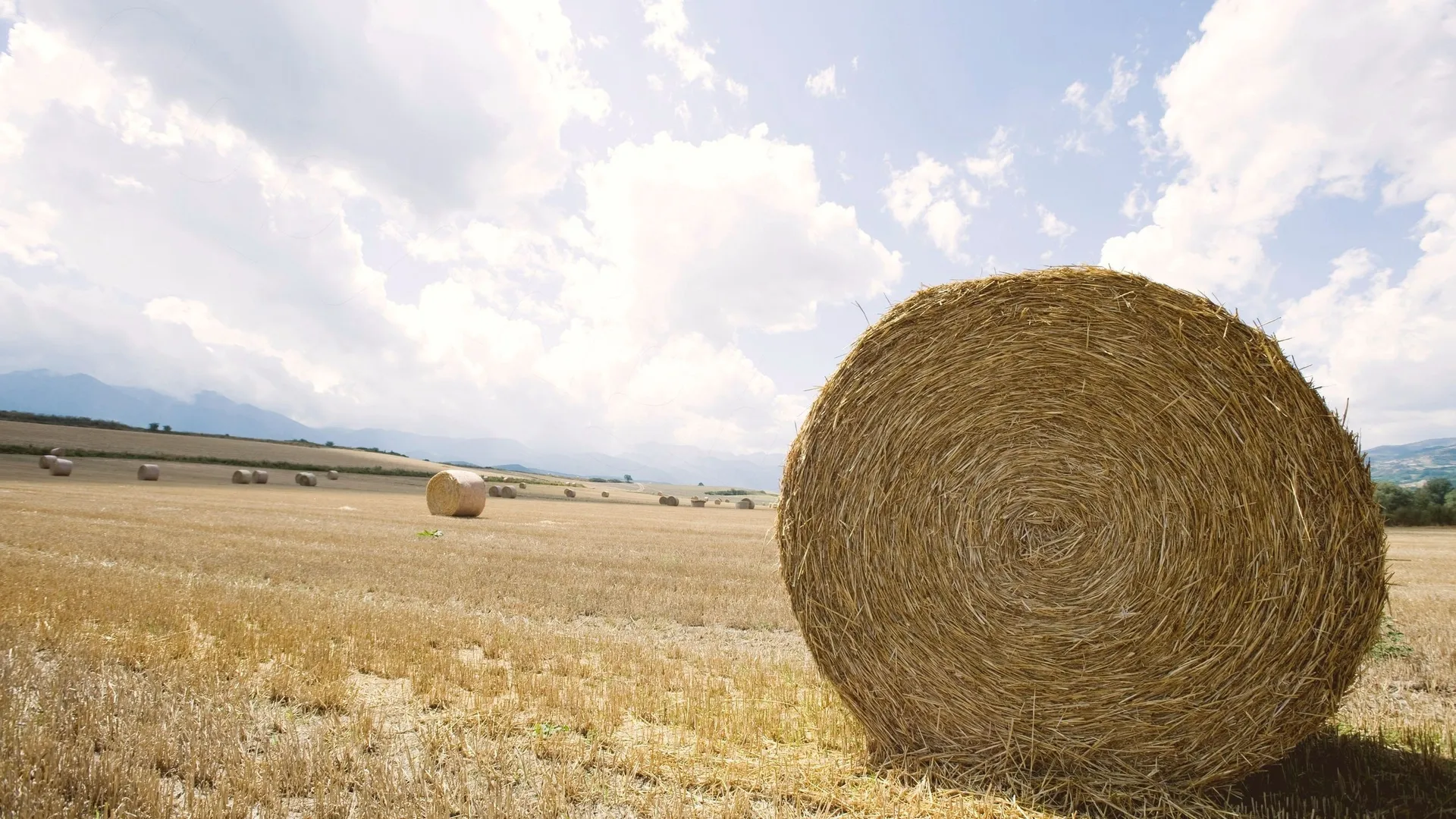 Капитал - Банки замораживают кредитование сельского хозяйства