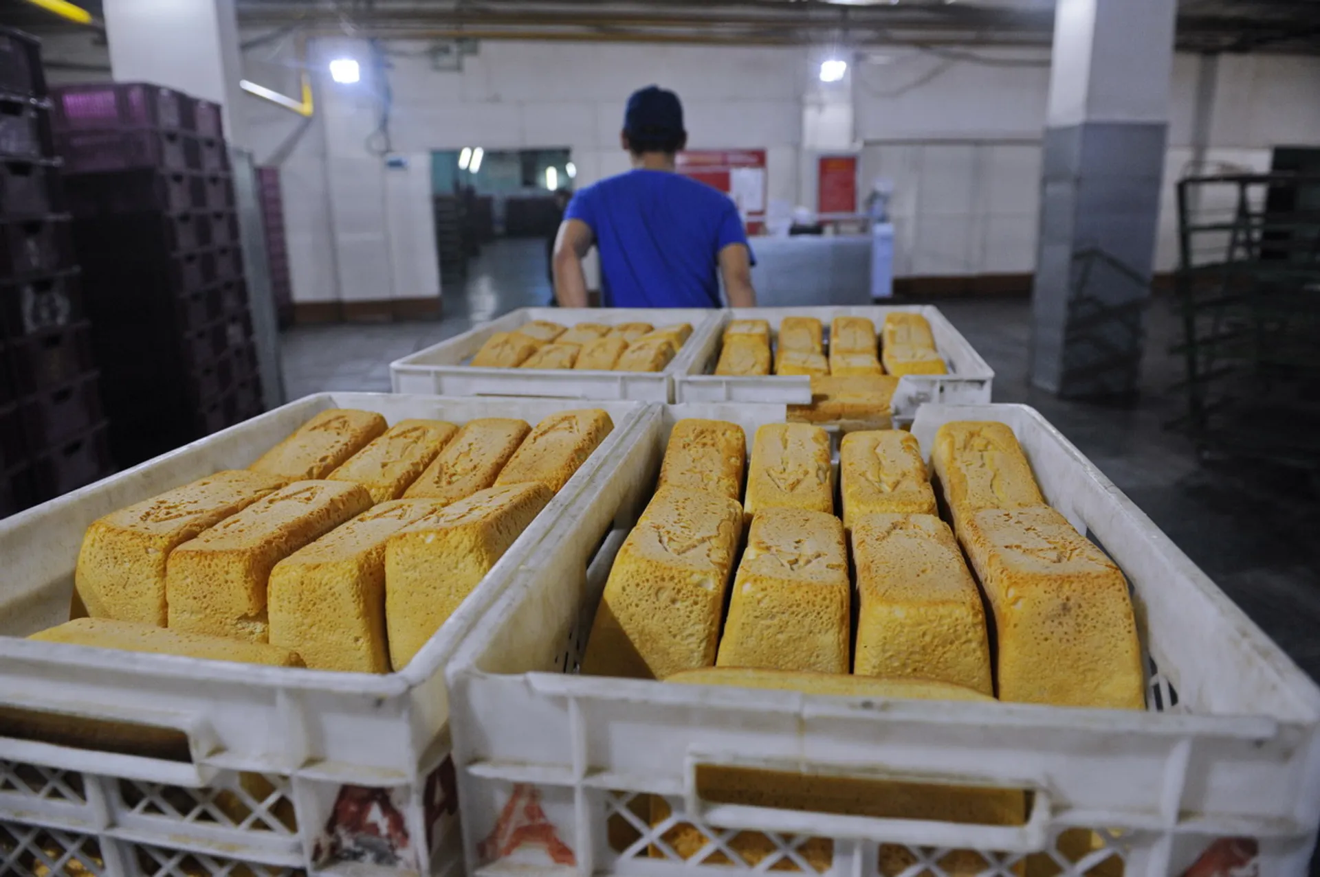 Фото: Владимир Третьяков