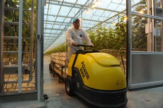 Капитал - Новый тепличный комплекс в Алматы начал поставки овощей