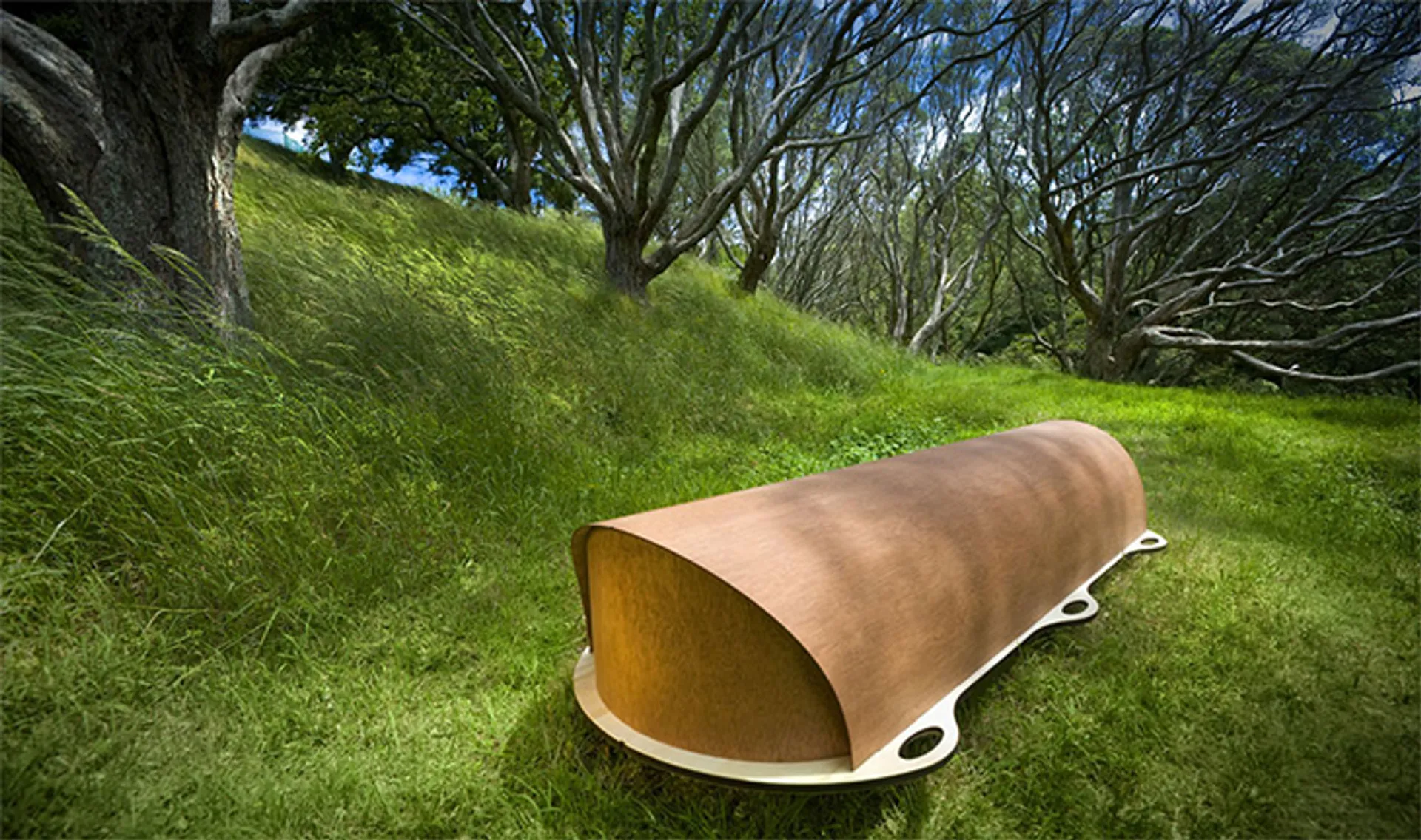 Капитал - Бизнес на экологичных похоронах