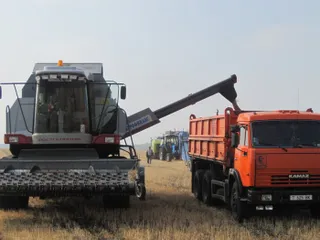 Капитал - Уборка зерновых выполнена на 60%