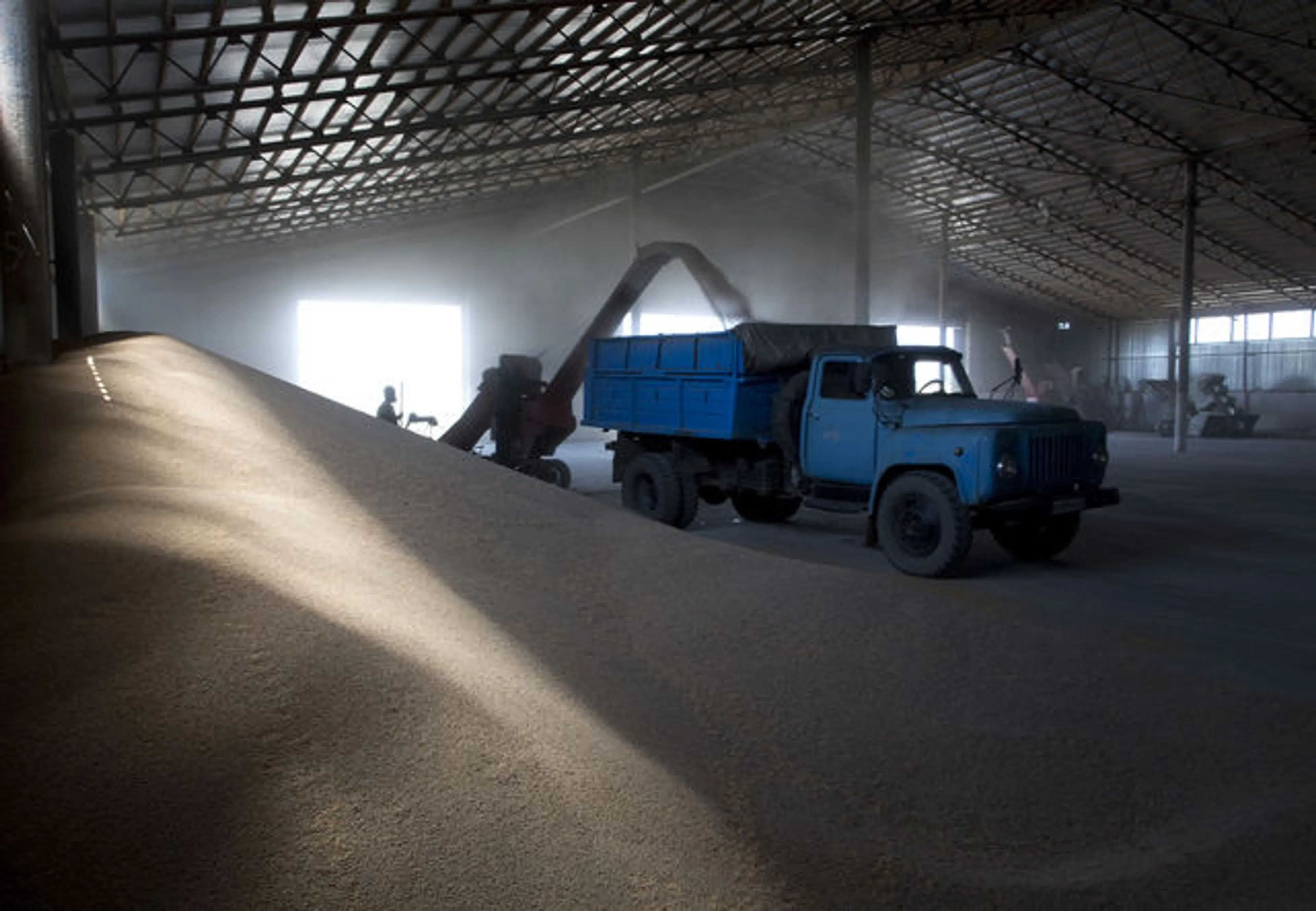 Капитал - Bloomberg Grain изучает рынок РК