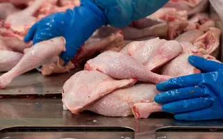 Новости пищевого производства