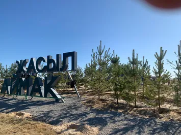 Вокруг Туркестана появится «зеленый пояс»