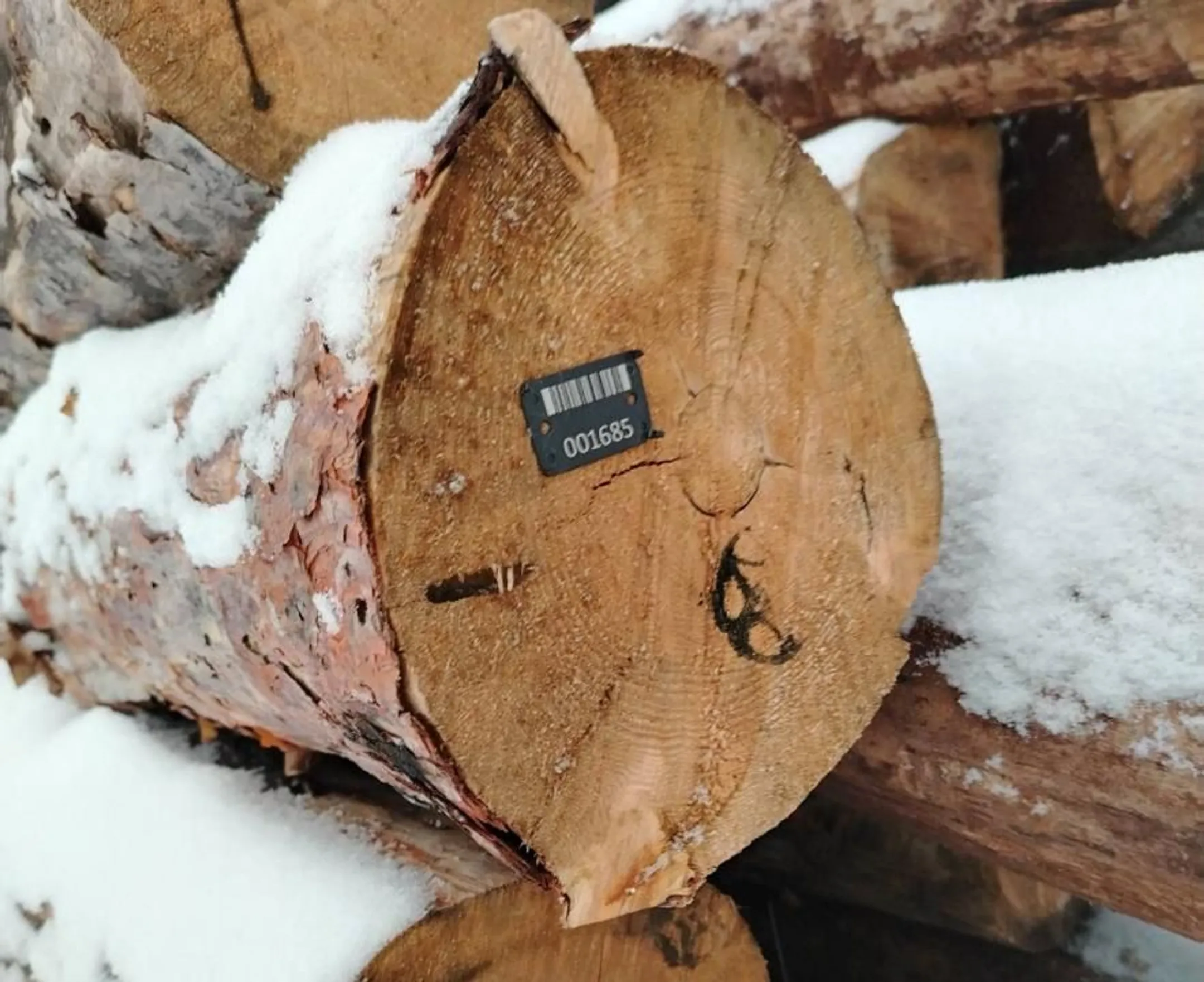 Изображение Kapital.kz