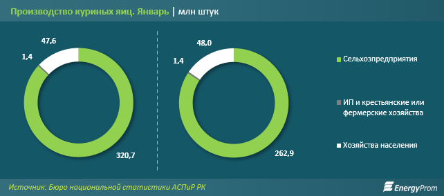 За январь в Казахстане произвели почти 370 млн куриных яиц 1226857 - Kapital.kz 