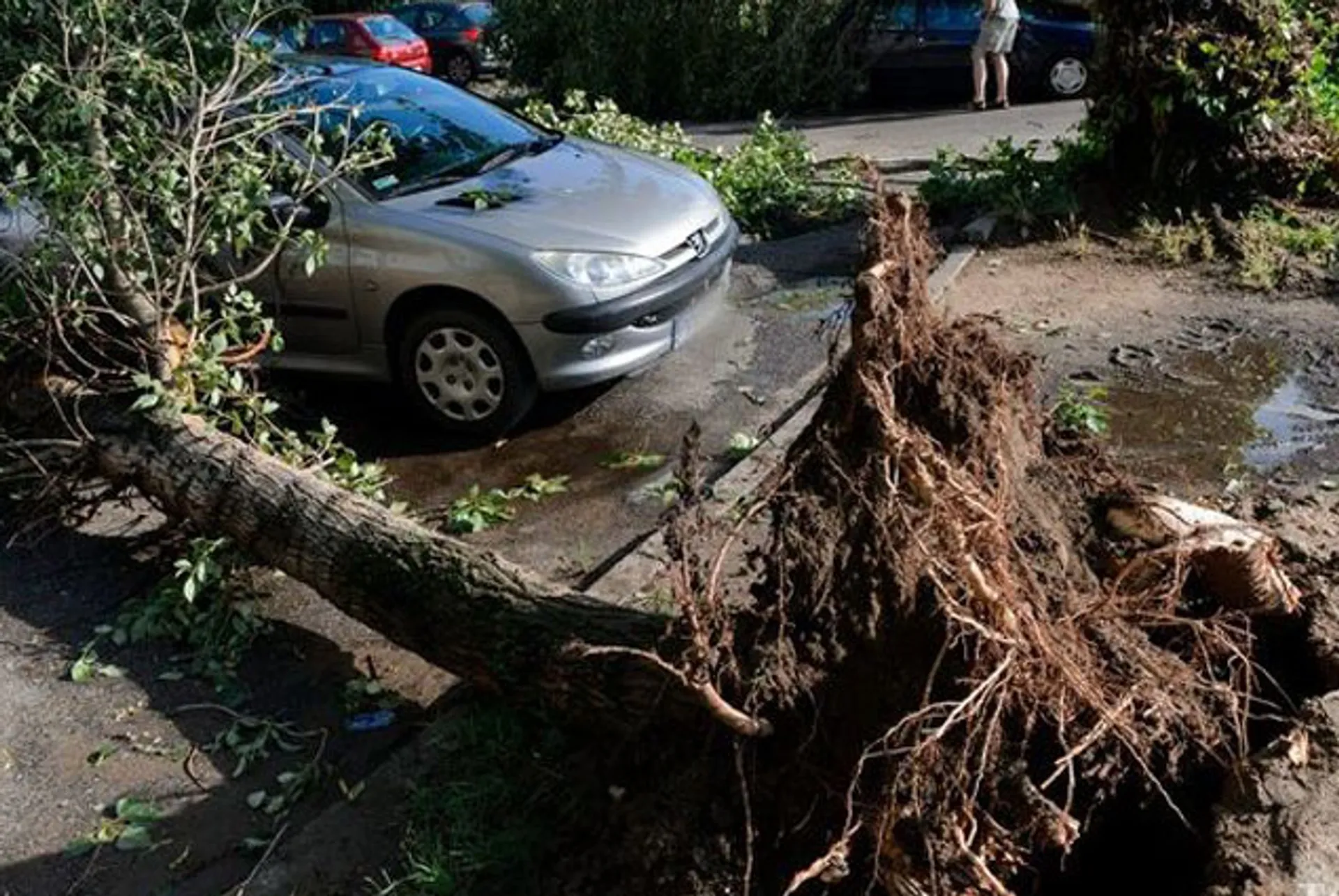 Капитал - Мощный ураган пронесся над Польшей