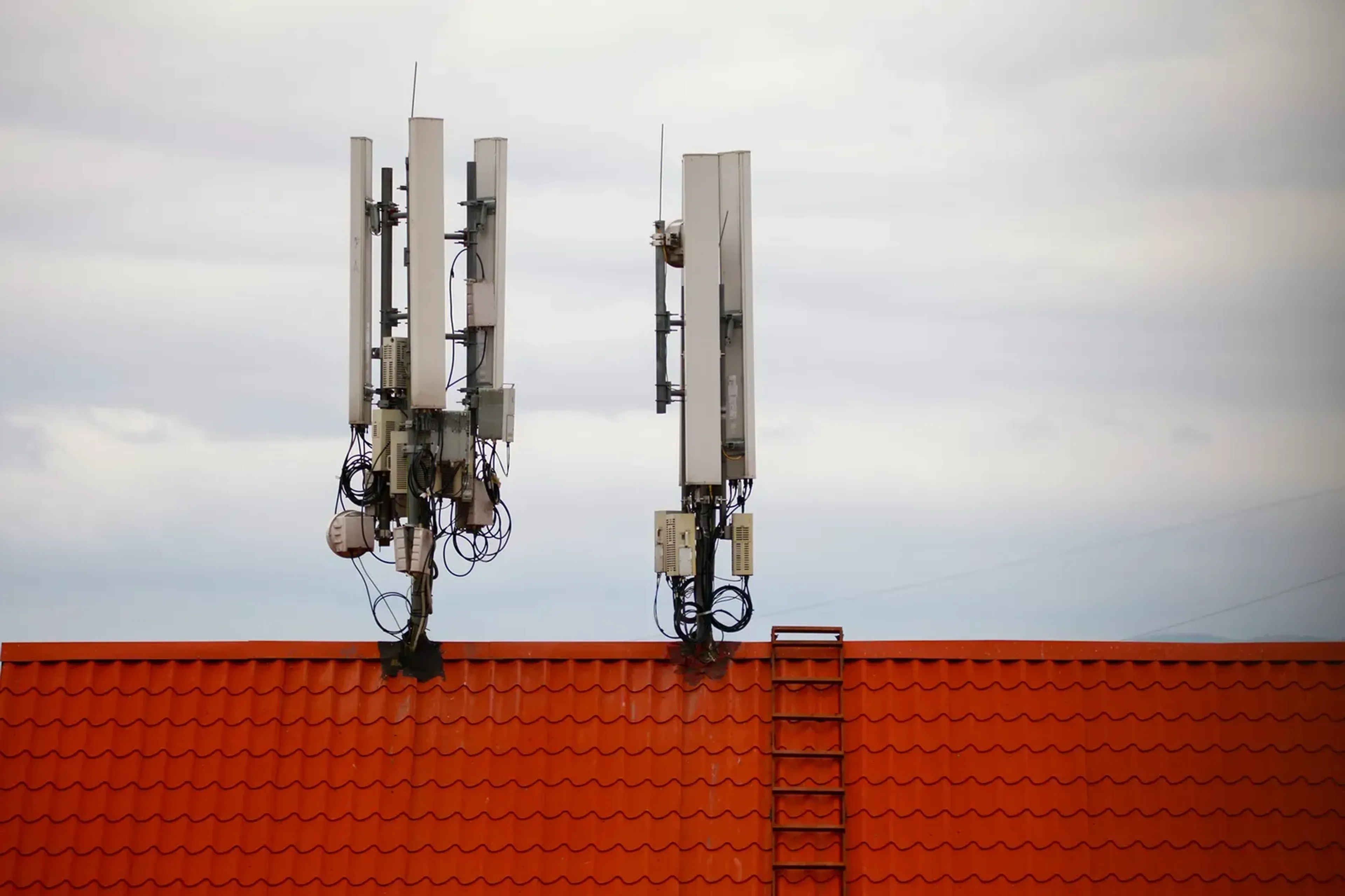 Фото: Руслан Пряников