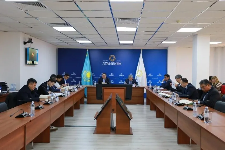 Капитал - В Нацпалате обсудили правила проверок проектов ГЧП