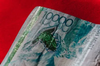 Капитал - Незаконное получение субсидий выявили в Туркестанской области