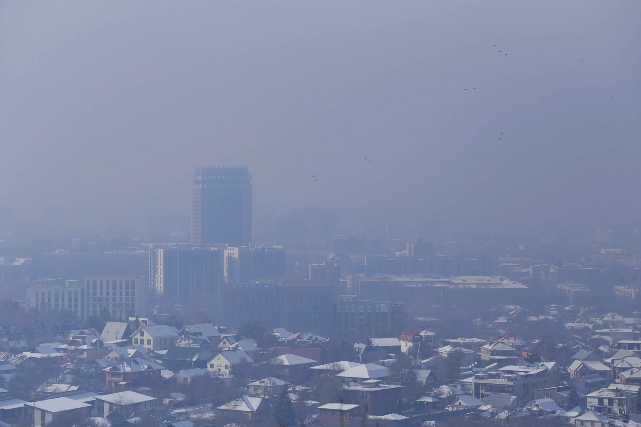 Фото: Руслан Пряников