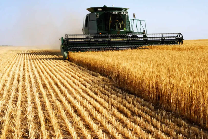 Капитал - Минсельхоз рефинансирует проблемные кредиты