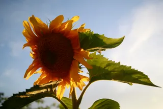 Фото: Руслан Пряников