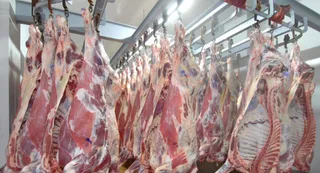 Капитал - Конина из Бурятии экспортируется в РК